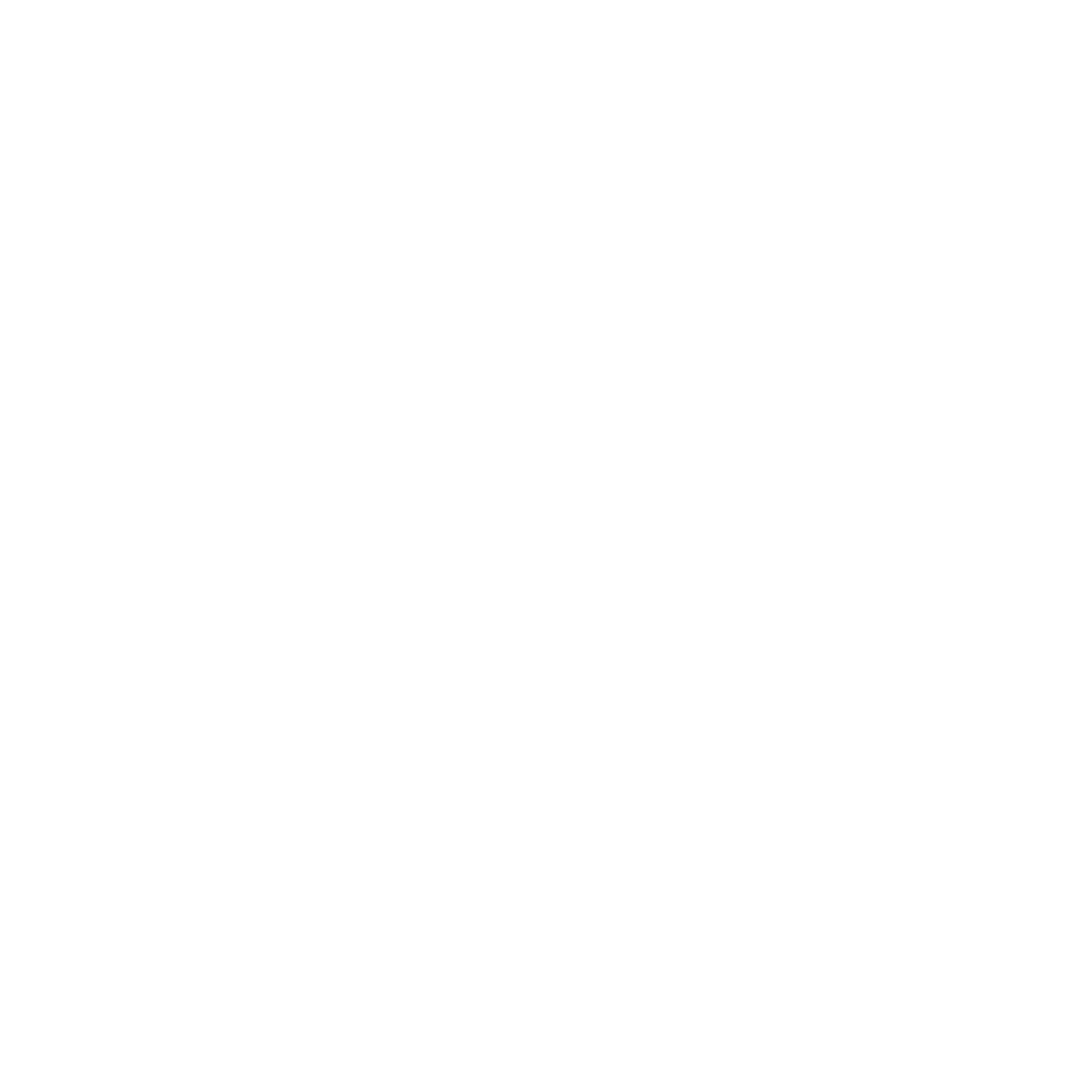 Designer X